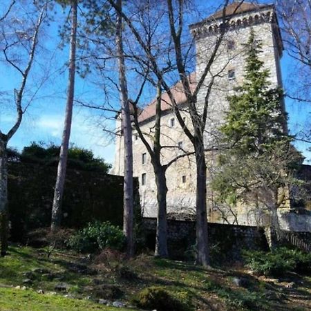 Majord'Home - Lodge&Castle - Vue Château - Climatisation Annecy Exterior foto